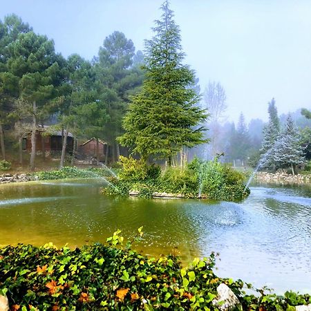 Chalet Esmeralda 3 D Y 2 Banos Zafiro Lagunazo Parque Natural Rio Mundo Riópar Εξωτερικό φωτογραφία