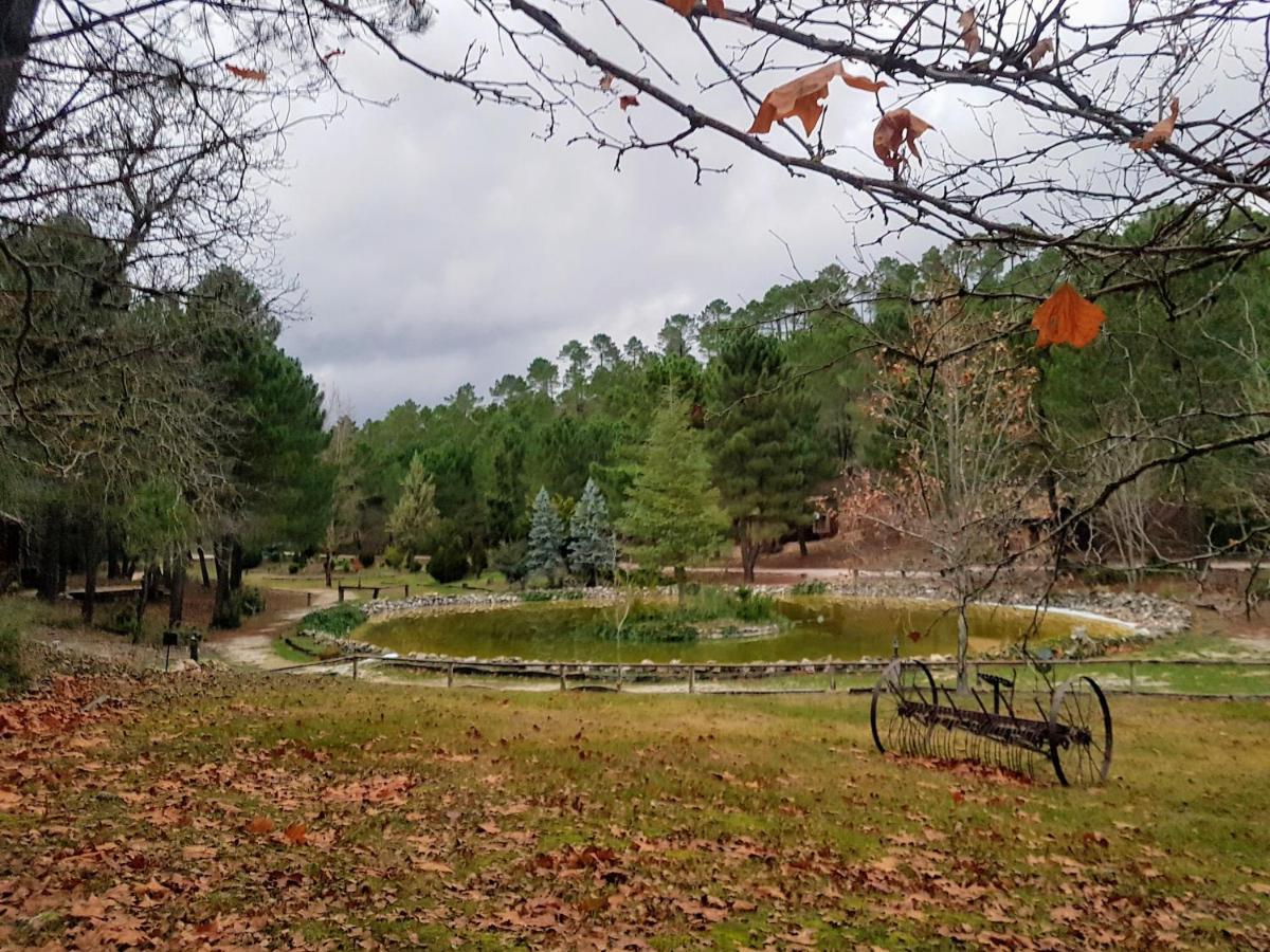 Chalet Esmeralda 3 D Y 2 Banos Zafiro Lagunazo Parque Natural Rio Mundo Riópar Εξωτερικό φωτογραφία