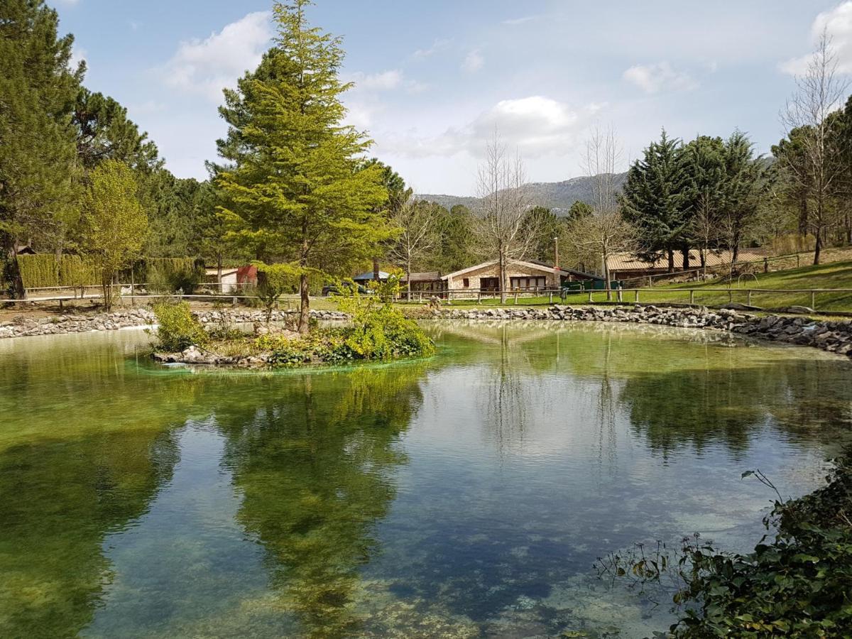 Chalet Esmeralda 3 D Y 2 Banos Zafiro Lagunazo Parque Natural Rio Mundo Riópar Εξωτερικό φωτογραφία