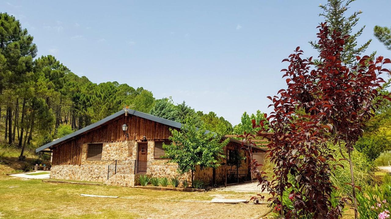 Chalet Esmeralda 3 D Y 2 Banos Zafiro Lagunazo Parque Natural Rio Mundo Riópar Εξωτερικό φωτογραφία
