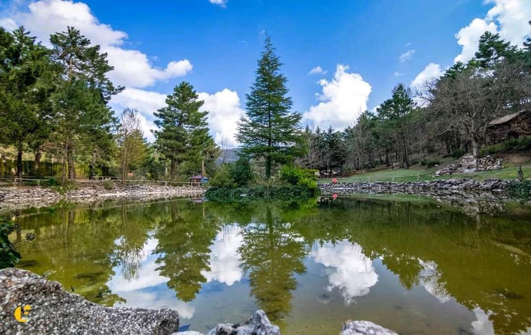 Chalet Esmeralda 3 D Y 2 Banos Zafiro Lagunazo Parque Natural Rio Mundo Riópar Εξωτερικό φωτογραφία
