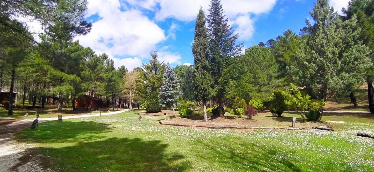 Chalet Esmeralda 3 D Y 2 Banos Zafiro Lagunazo Parque Natural Rio Mundo Riópar Εξωτερικό φωτογραφία