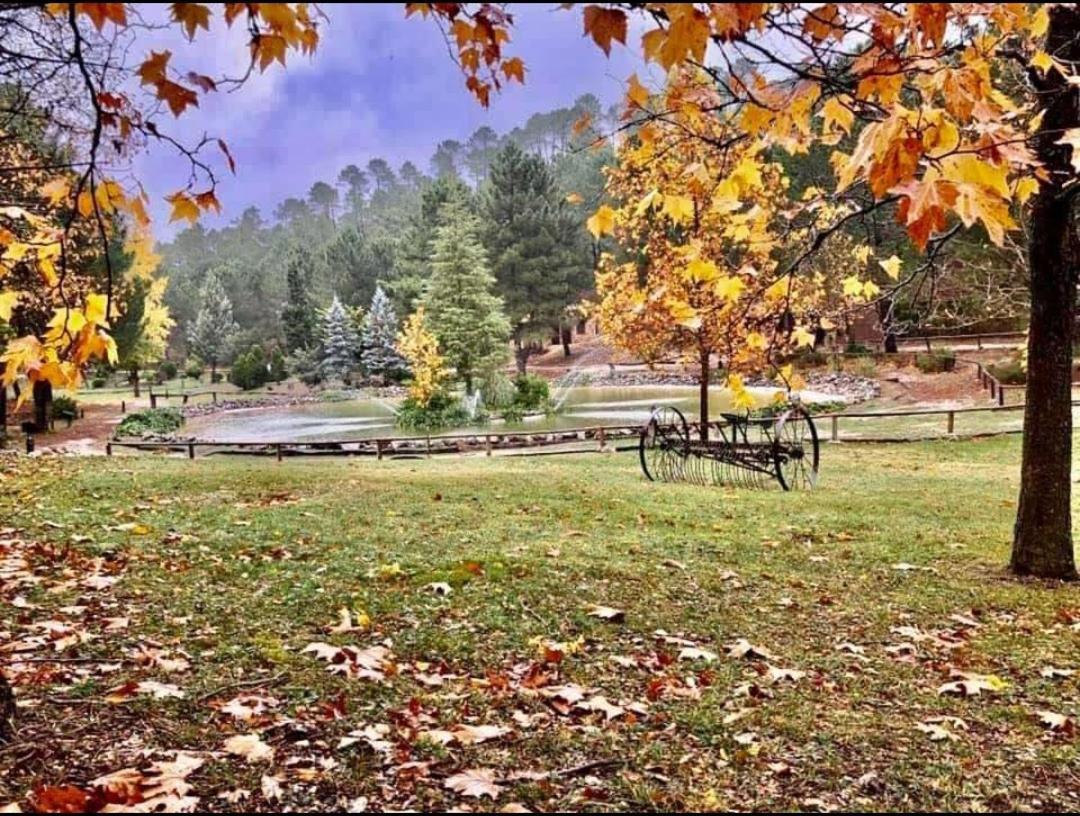 Chalet Esmeralda 3 D Y 2 Banos Zafiro Lagunazo Parque Natural Rio Mundo Riópar Εξωτερικό φωτογραφία