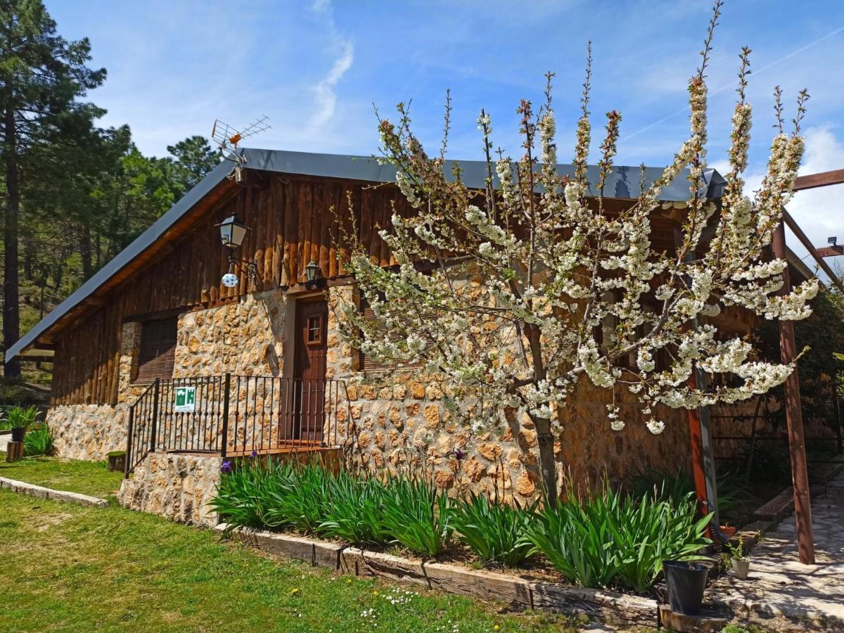 Chalet Esmeralda 3 D Y 2 Banos Zafiro Lagunazo Parque Natural Rio Mundo Riópar Εξωτερικό φωτογραφία